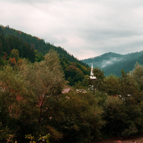 DSC07029