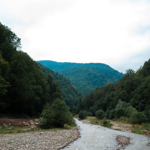 DSC07194