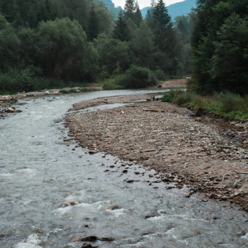 DSC07309
