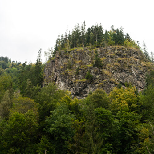 DSC07463