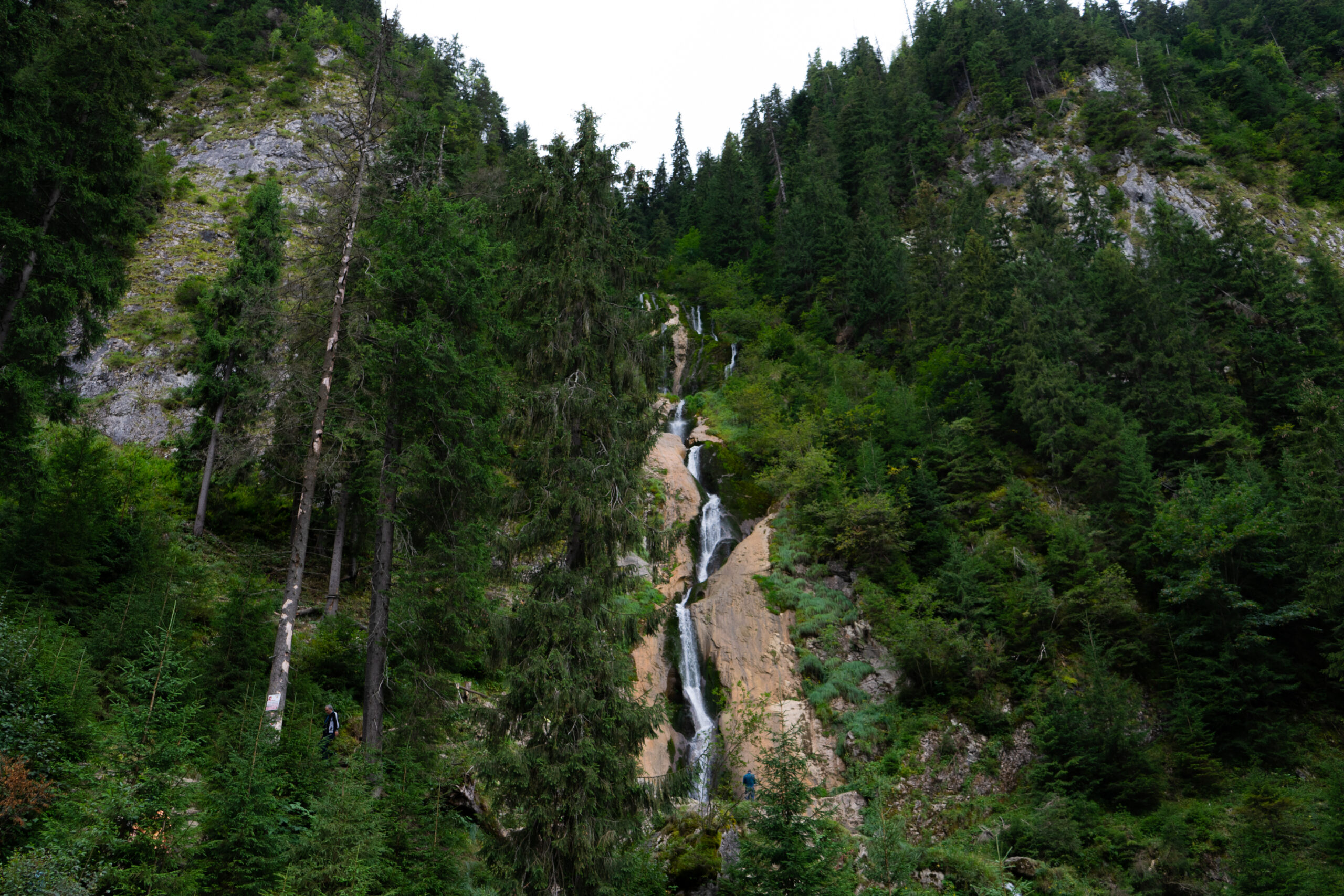 DSC07680-2